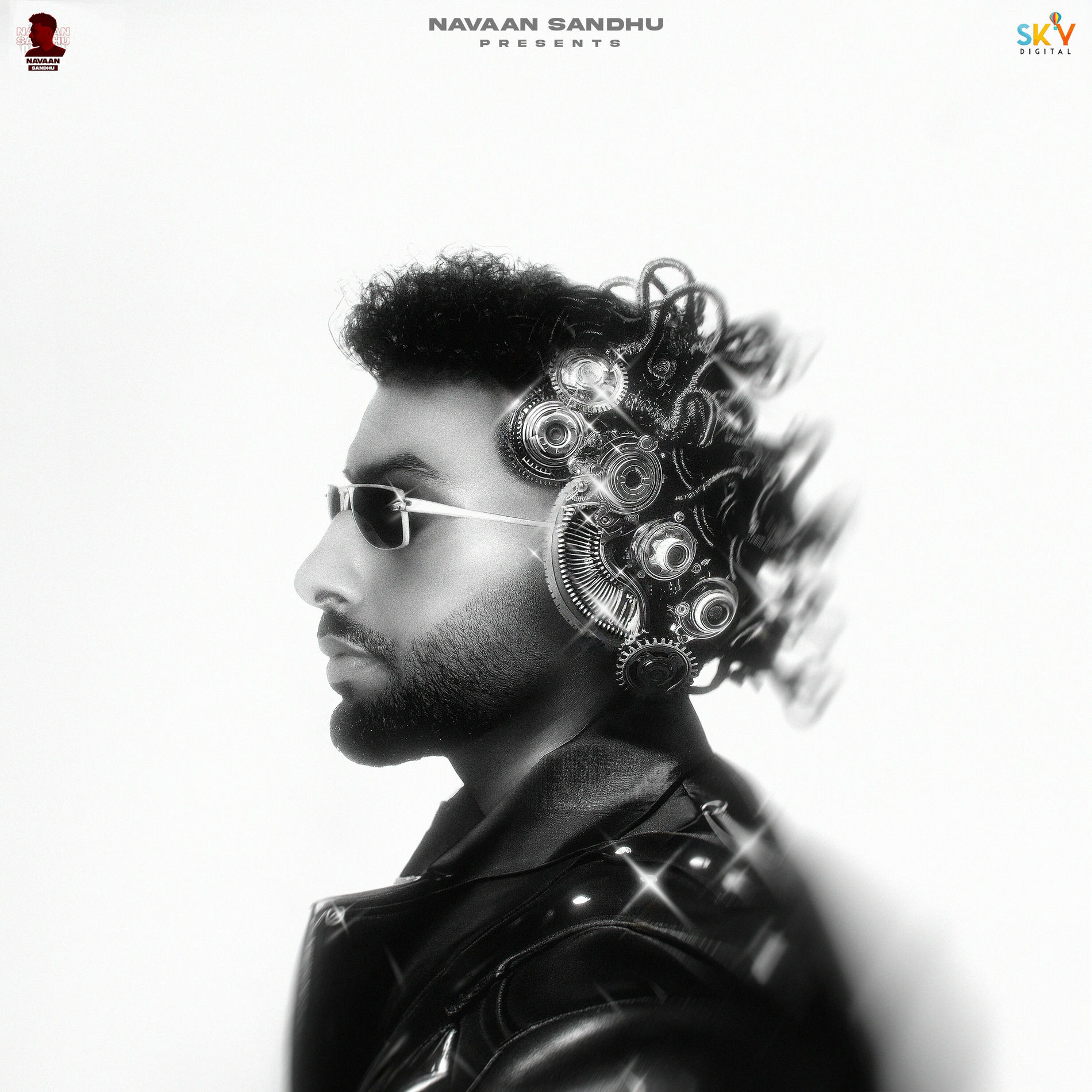 Album cover of Ambarsaria