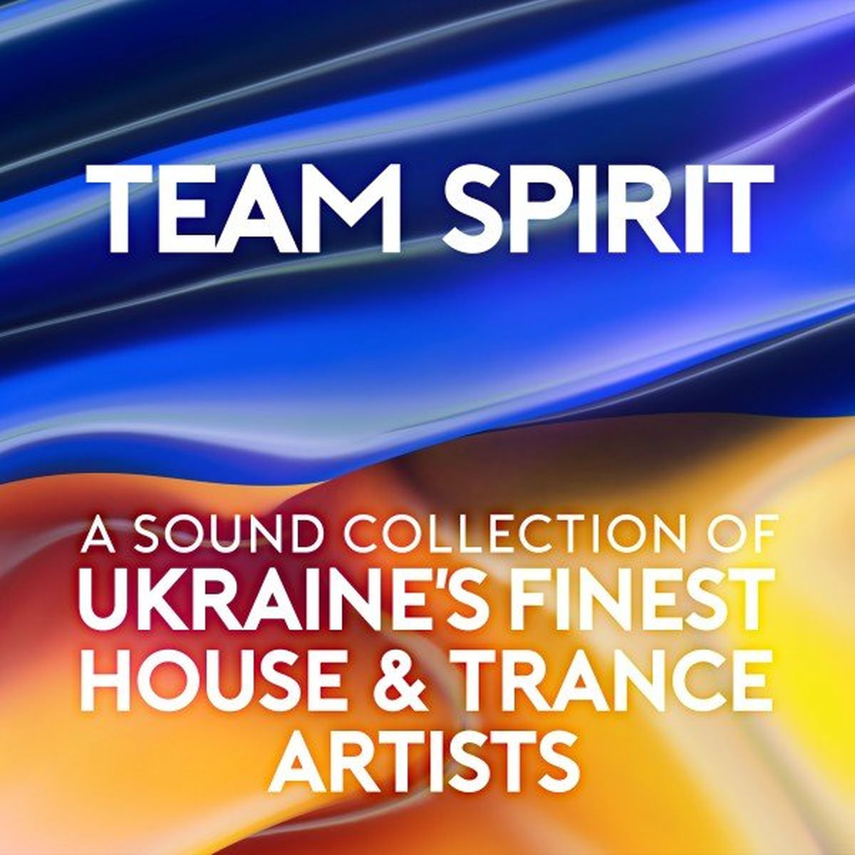 Album cover of Team Spirit (A Sound Collection of Ukraine's Finest House & Trance Artists)