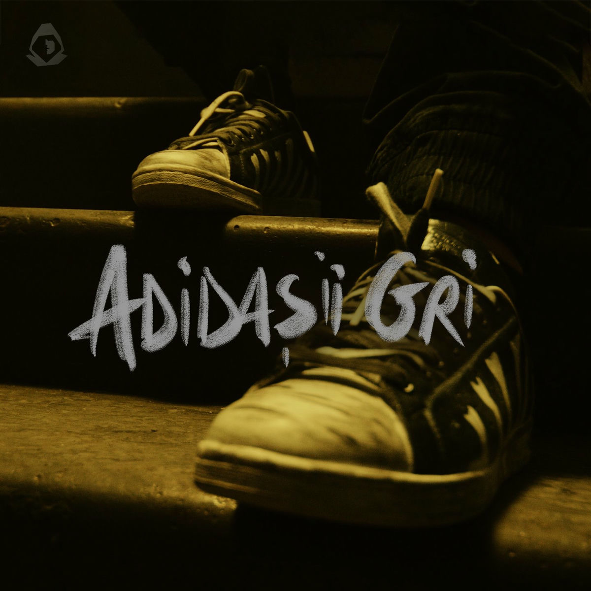 Album cover of Adidașii gri