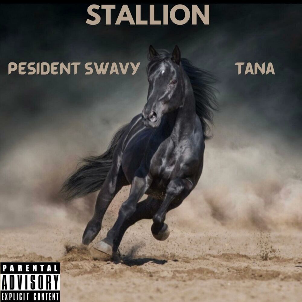 Picture of Stallion