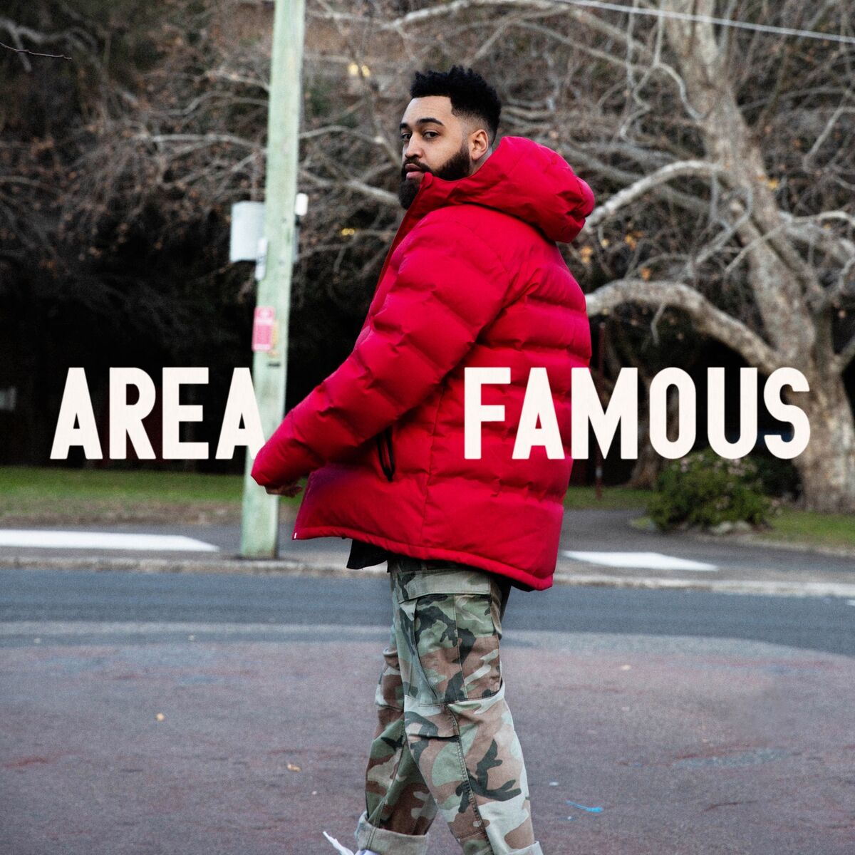 Album cover of Area Famous