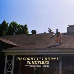 Cover of i’m sorry if i hurt u sometimes