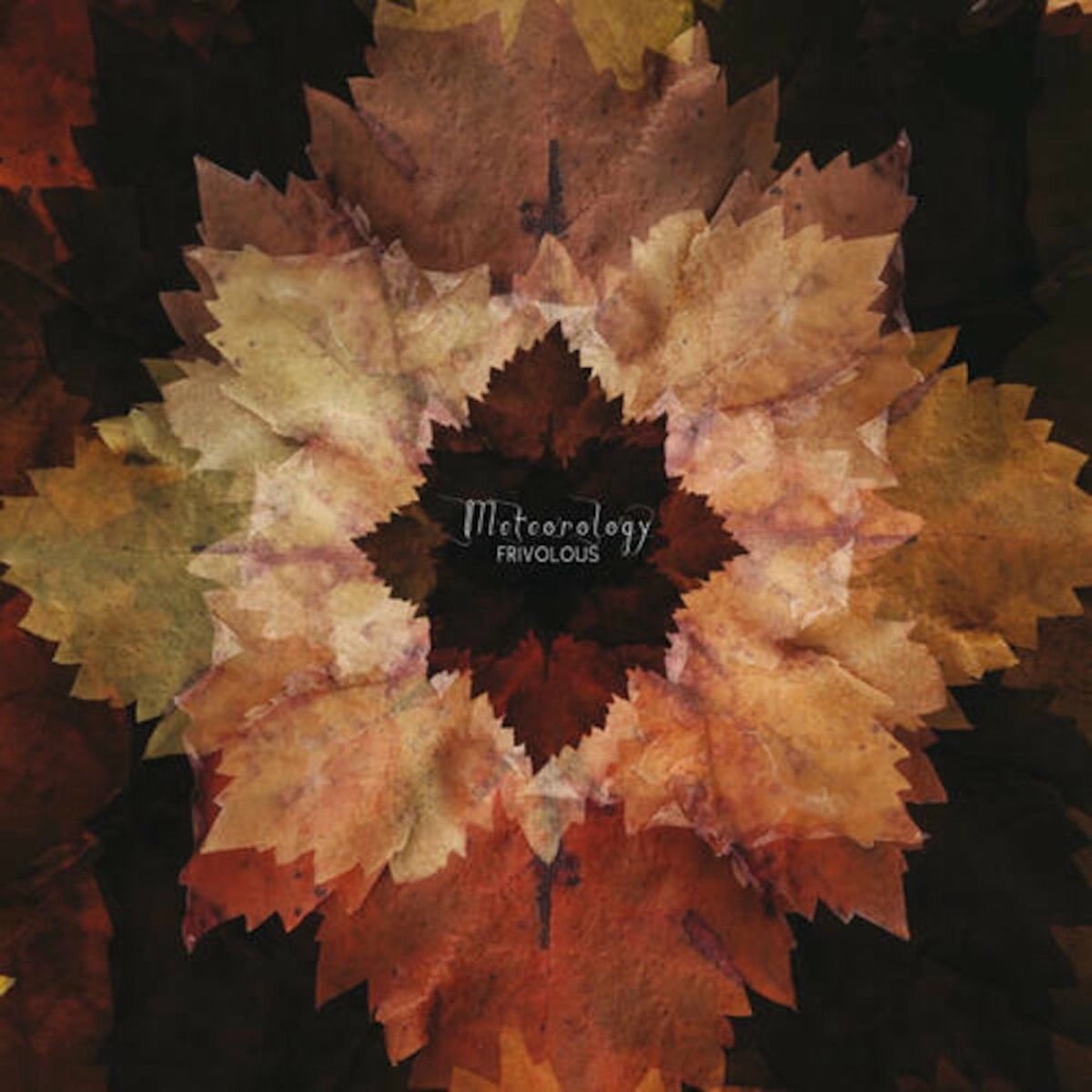 Album cover of Back Into The Deep