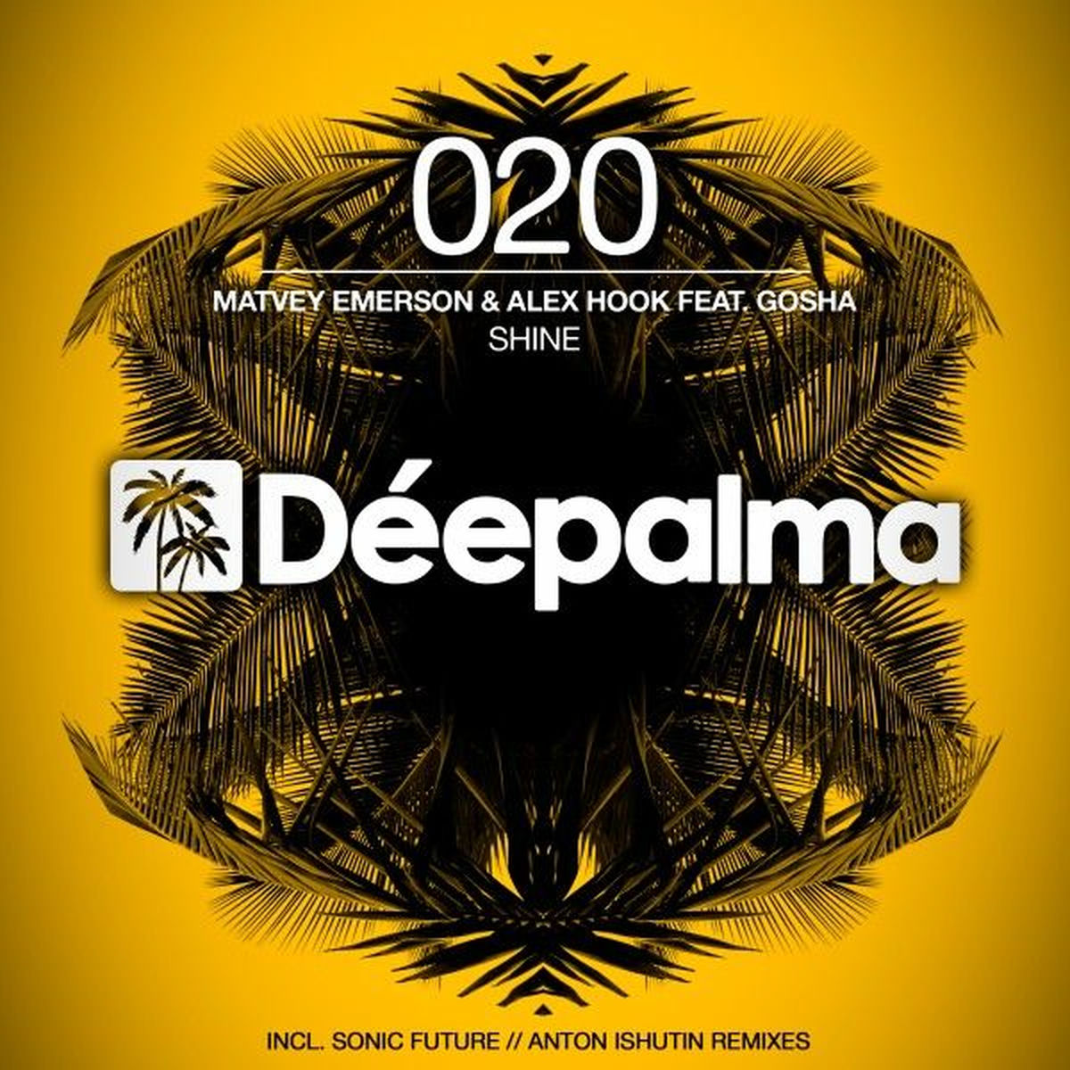 Album cover of Shine