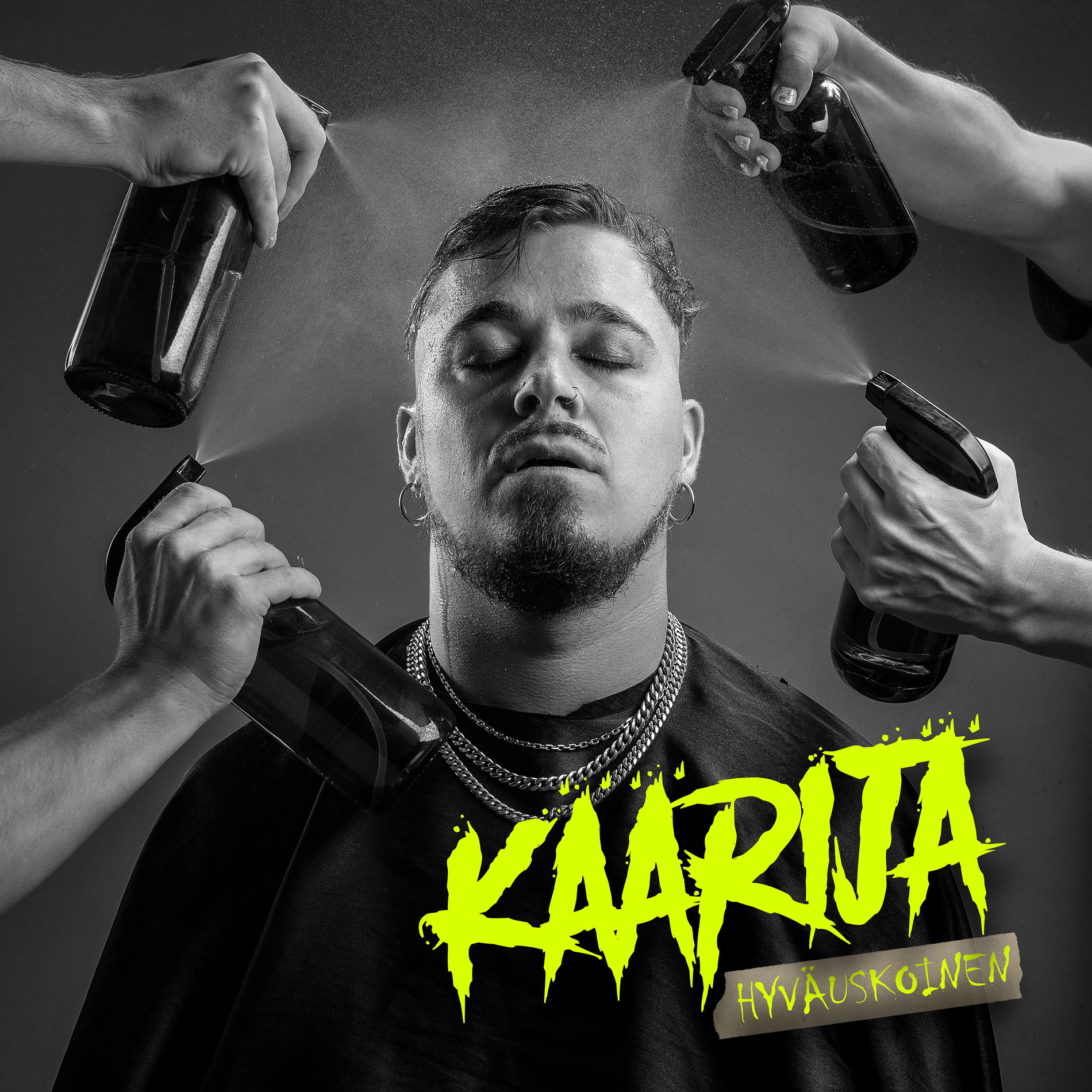 Album cover of Hyväuskoinen (Vain elämää kausi 16)