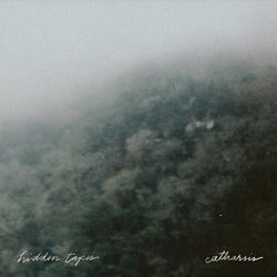 Descargar Every Season - Hidden Tapes MP3