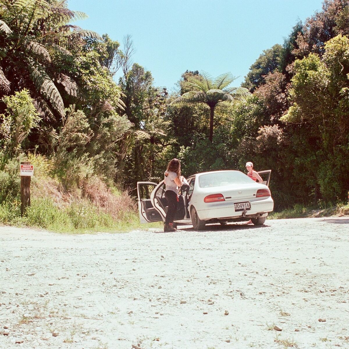 Album cover of Fences