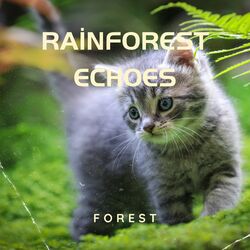 Cover of Rainforest Echoes