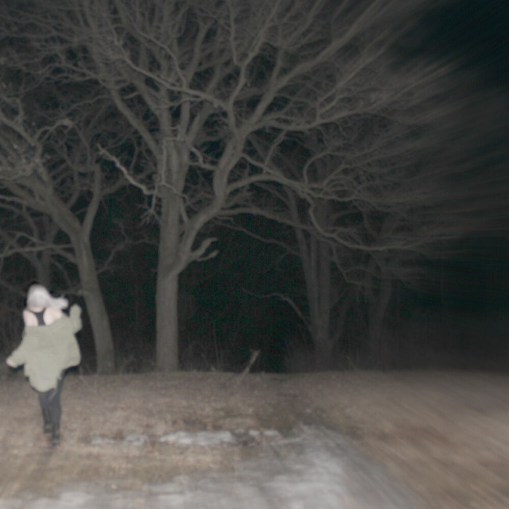 Picture of Hide and Seek