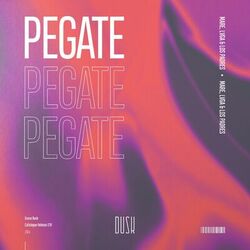 Cover of Pegate