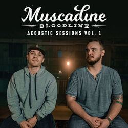 Cover of Acoustic Sessions Vol. 1