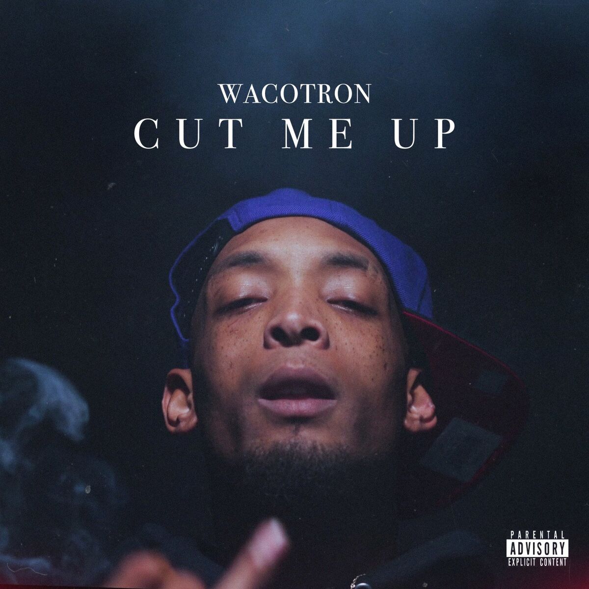 Album cover of Cut Me Up