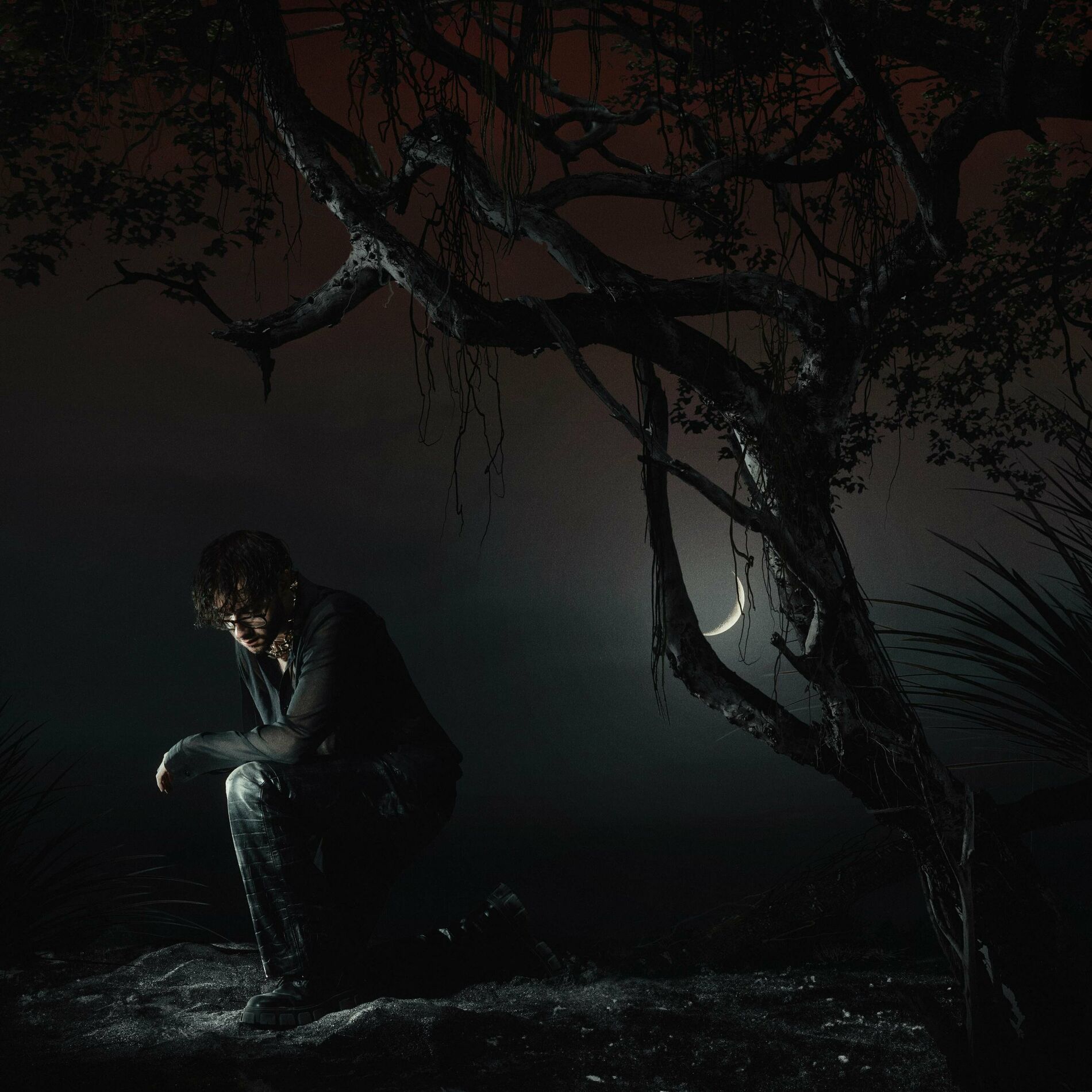 Album cover of IF I HAD YOU...