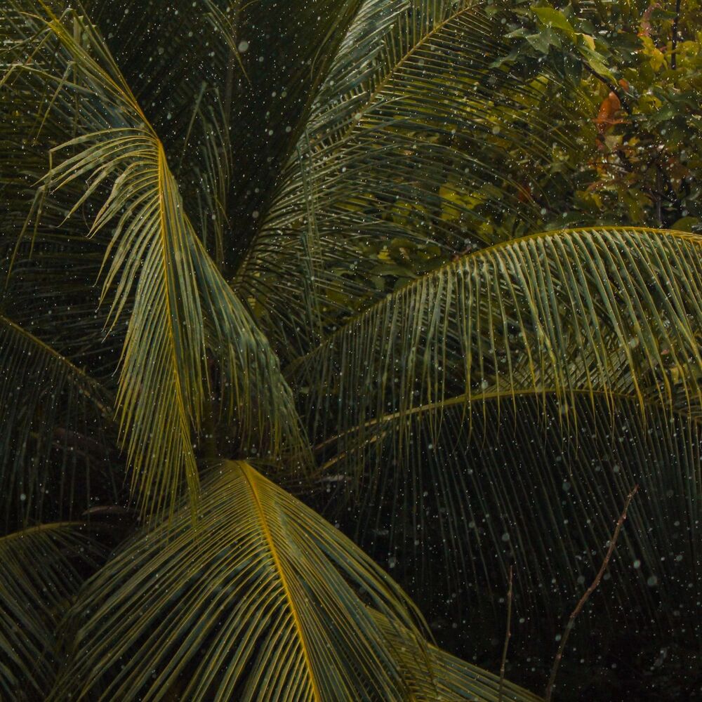 Picture of 10 Rainy Nights: Deep Sleep Frequencies