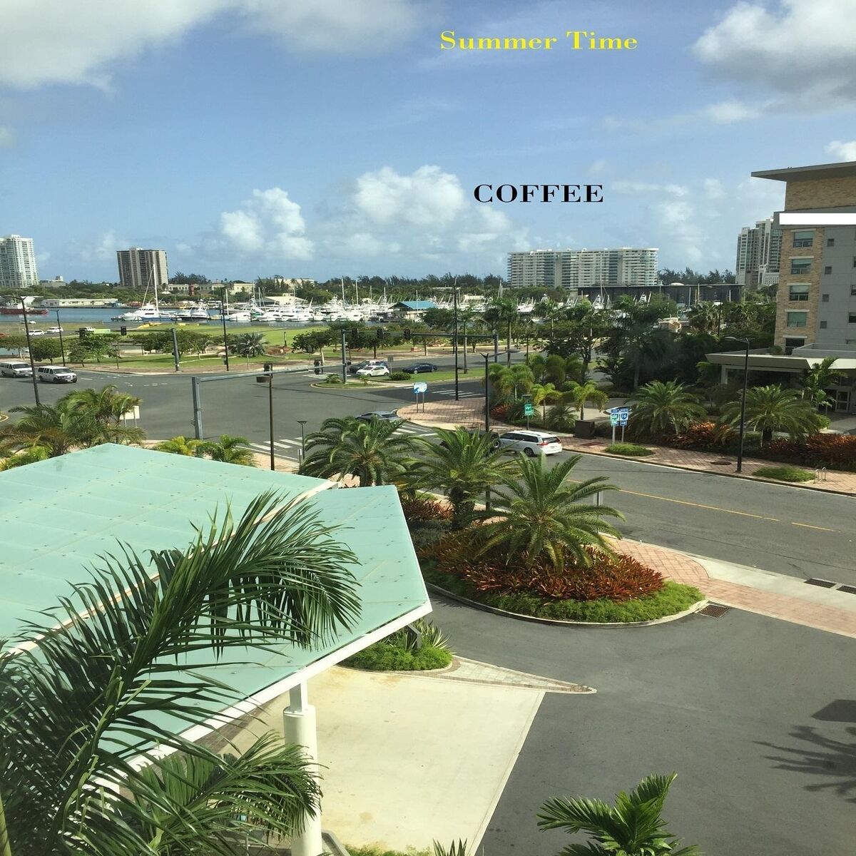 Album cover of Summer Time