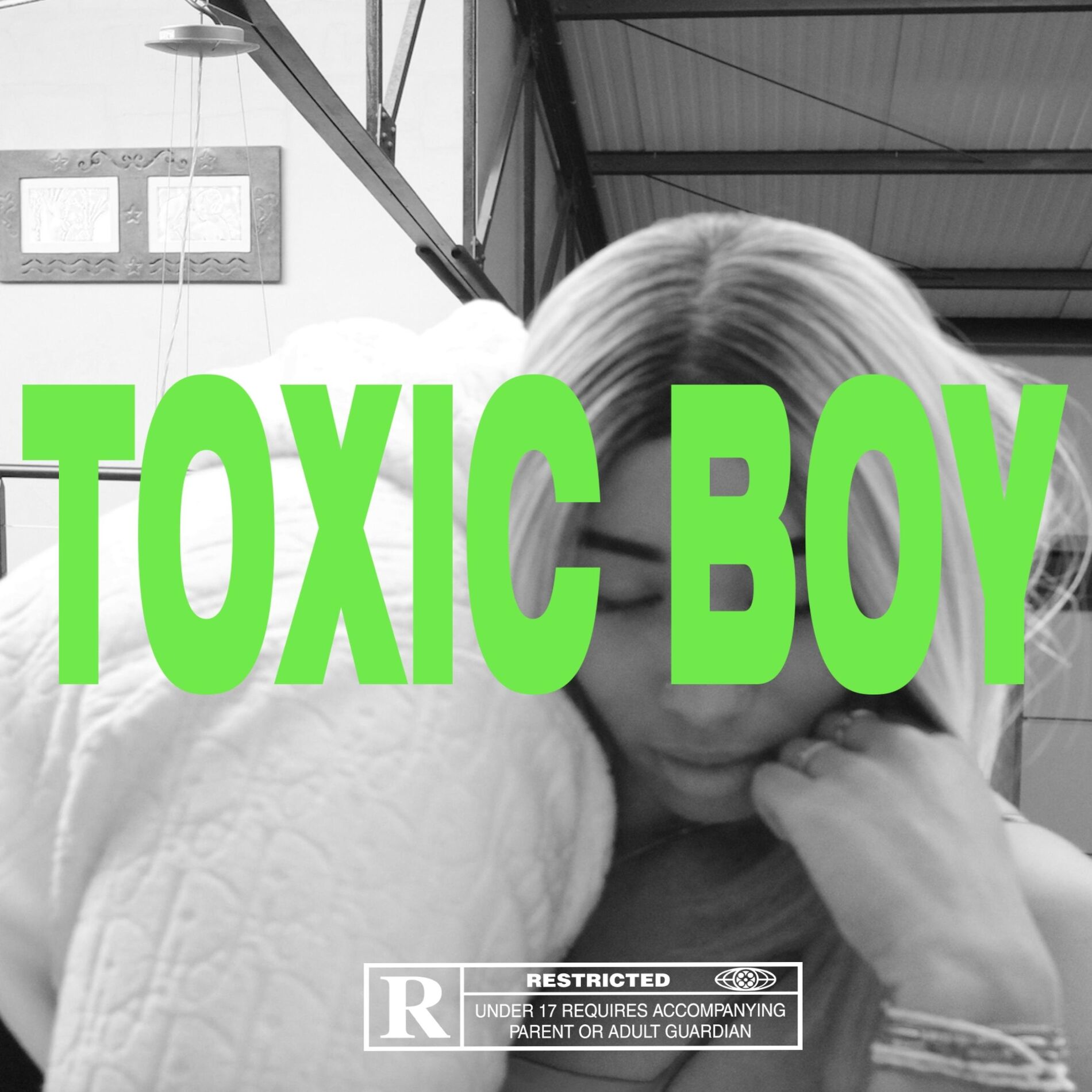 Album cover of Toxic Boy (feat. MLV)