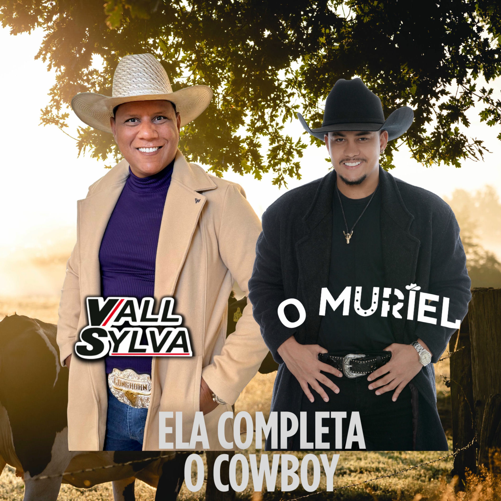 Album cover of Ela Completa o Cowboy