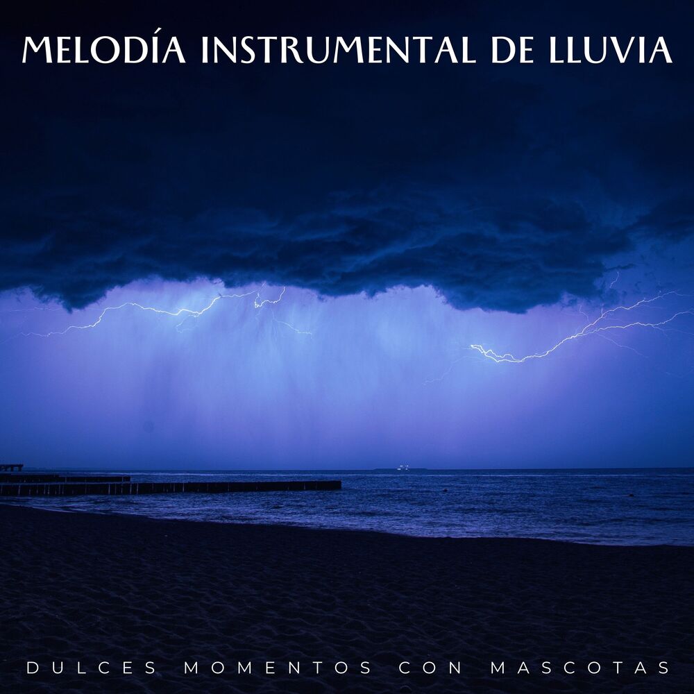 Picture of Melodía Instrumental De Lluvia: Dulces Momentos Con Mascotas