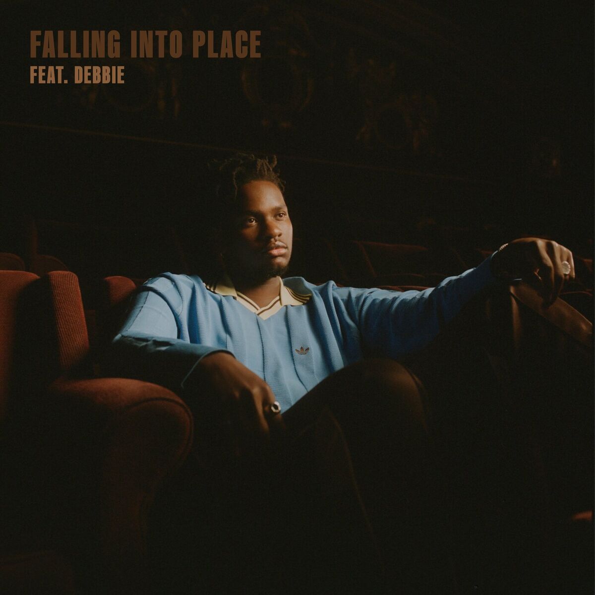 Album cover of Falling Into Place