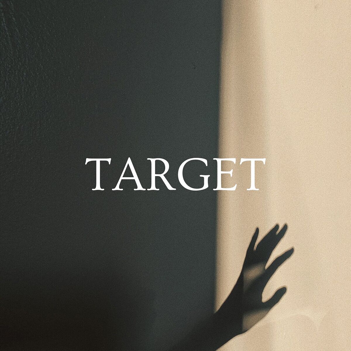 Album cover of Target