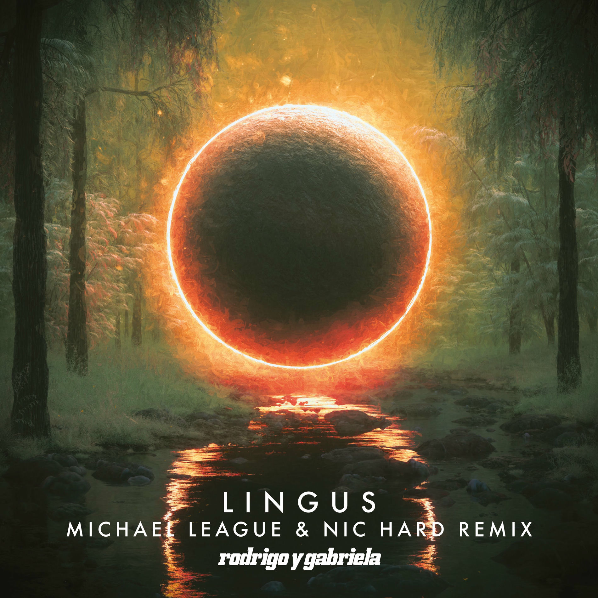 Album cover of Lingus (Michael League & Nic Hard Remix)