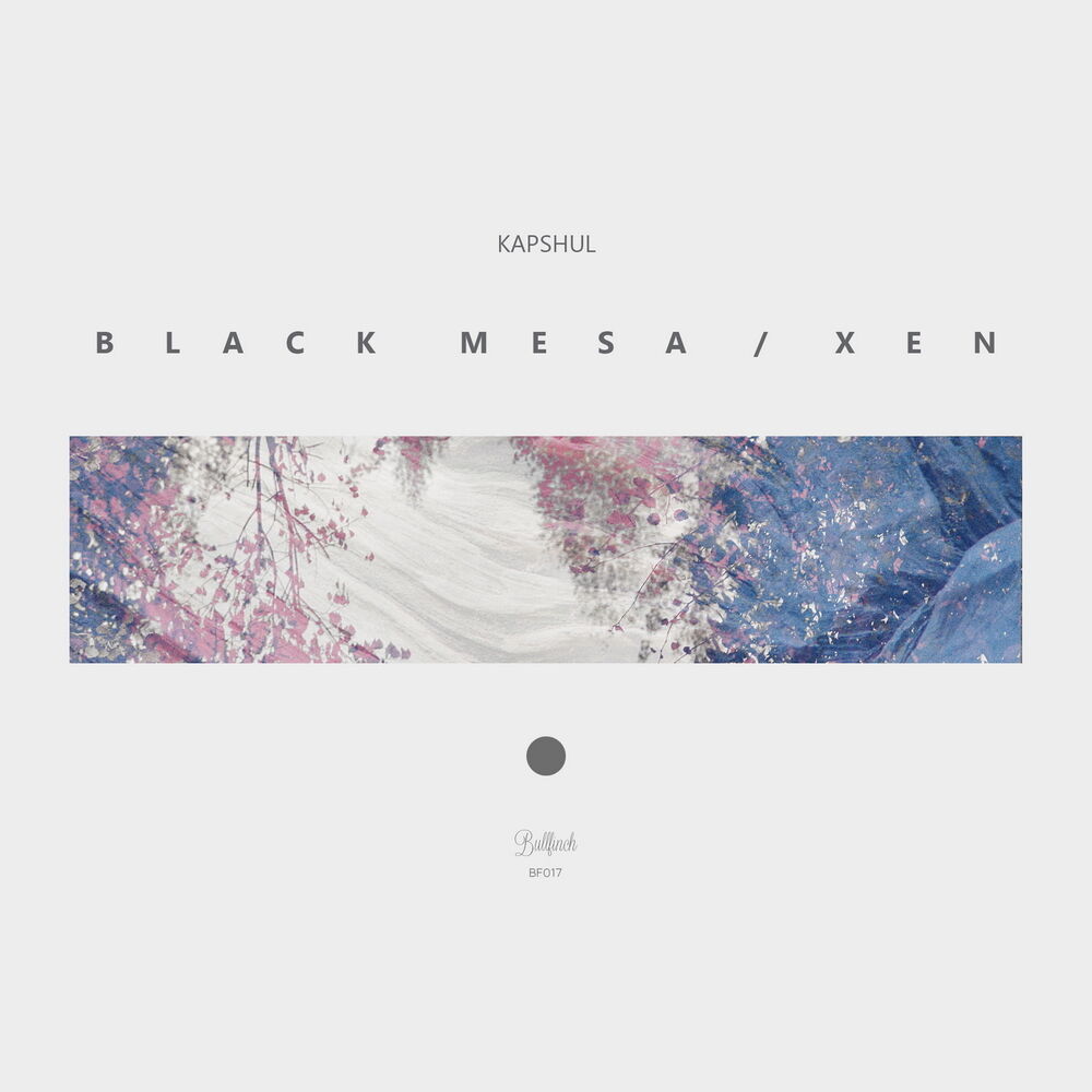 Picture of Black Mesa / Xen