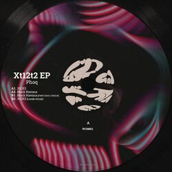 Cover of Xt12t2