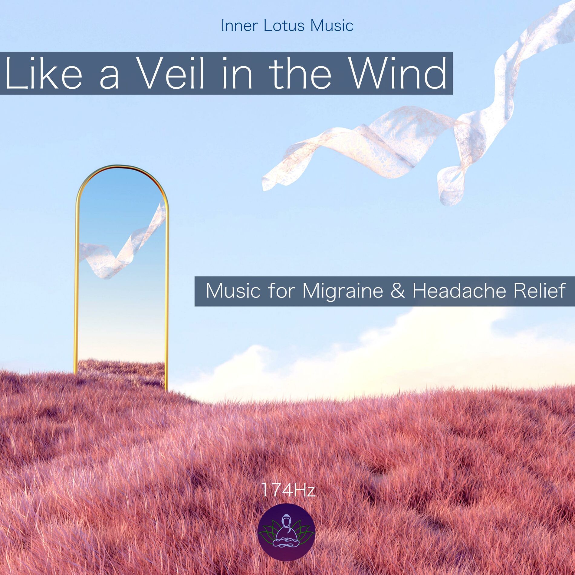 Album cover of Like a Veil in the Wind