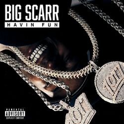 Cover of Havin Fun