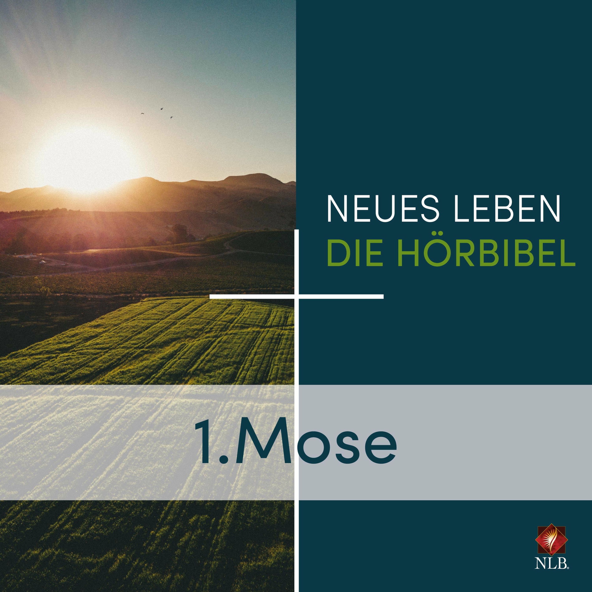 Album cover of 1. Mose - Neues Leben - Die Hörbibel