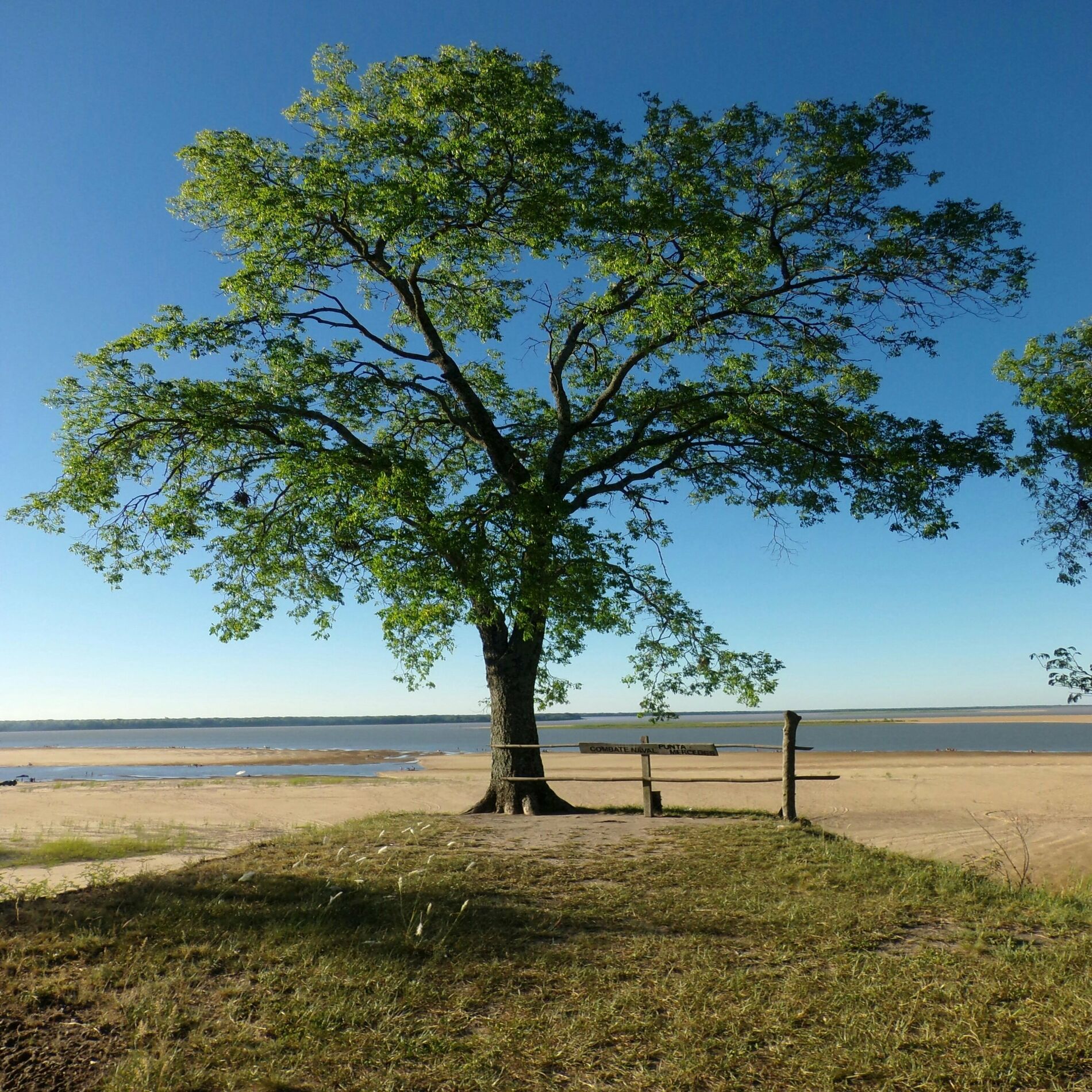 Album cover of En el Desaguadero