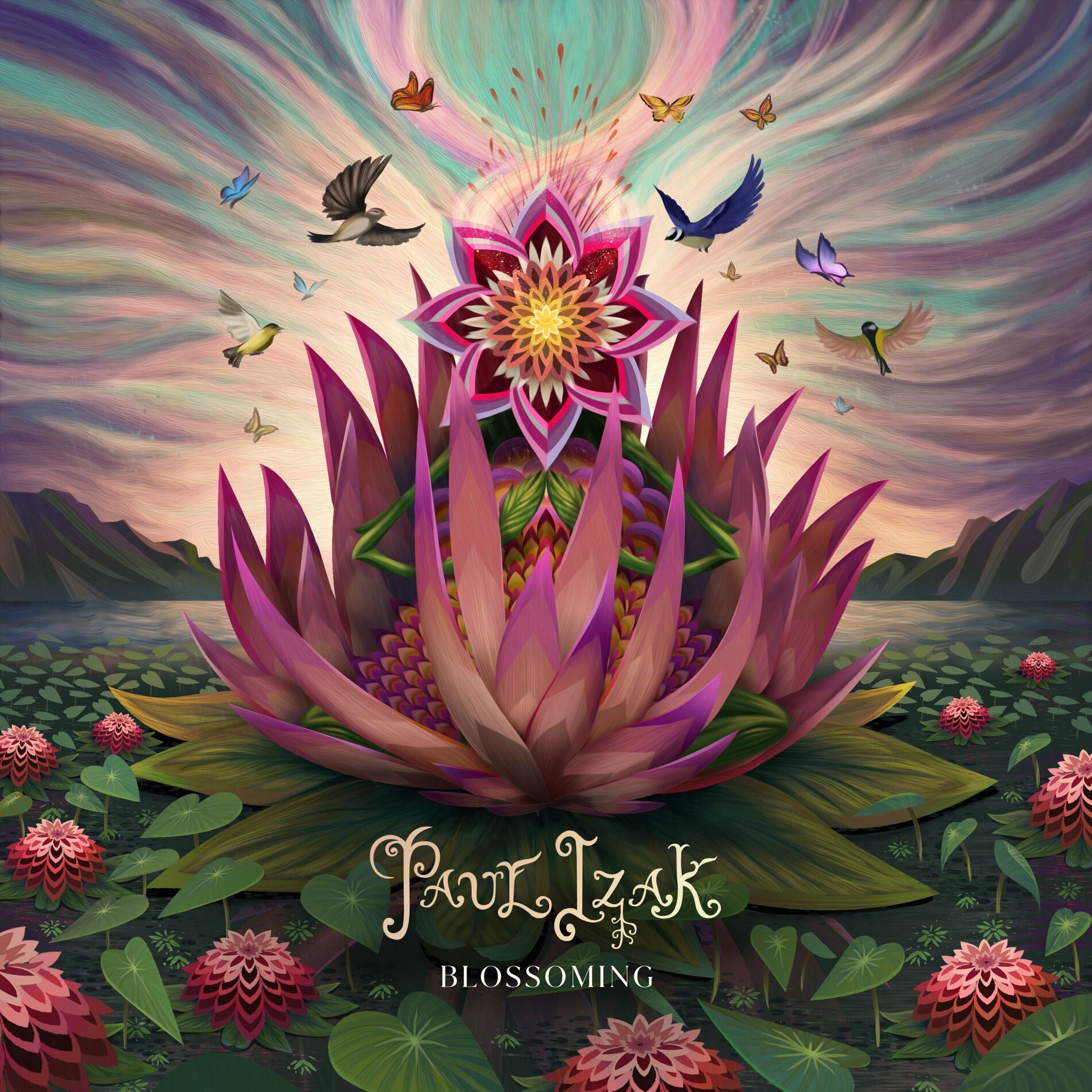 Album cover of Blossoming