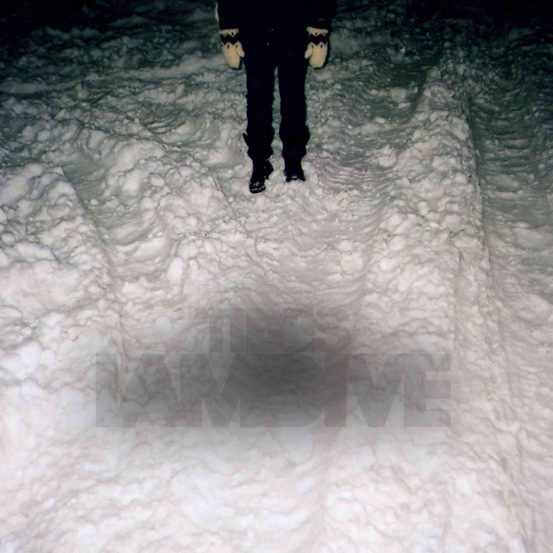 Album cover of Tides
