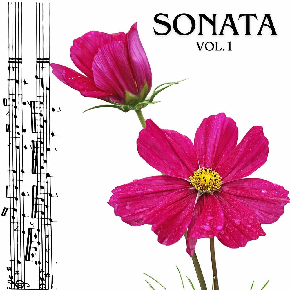 Picture of Sonata vol.1 (Remastered 2017)