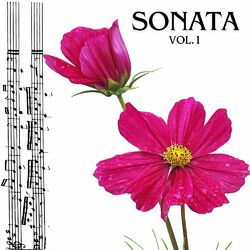 Cover of Sonata vol.1 (Remastered 2017)