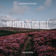 Heather On The Hill (Acoustic Version) by Nathan Evans album cover