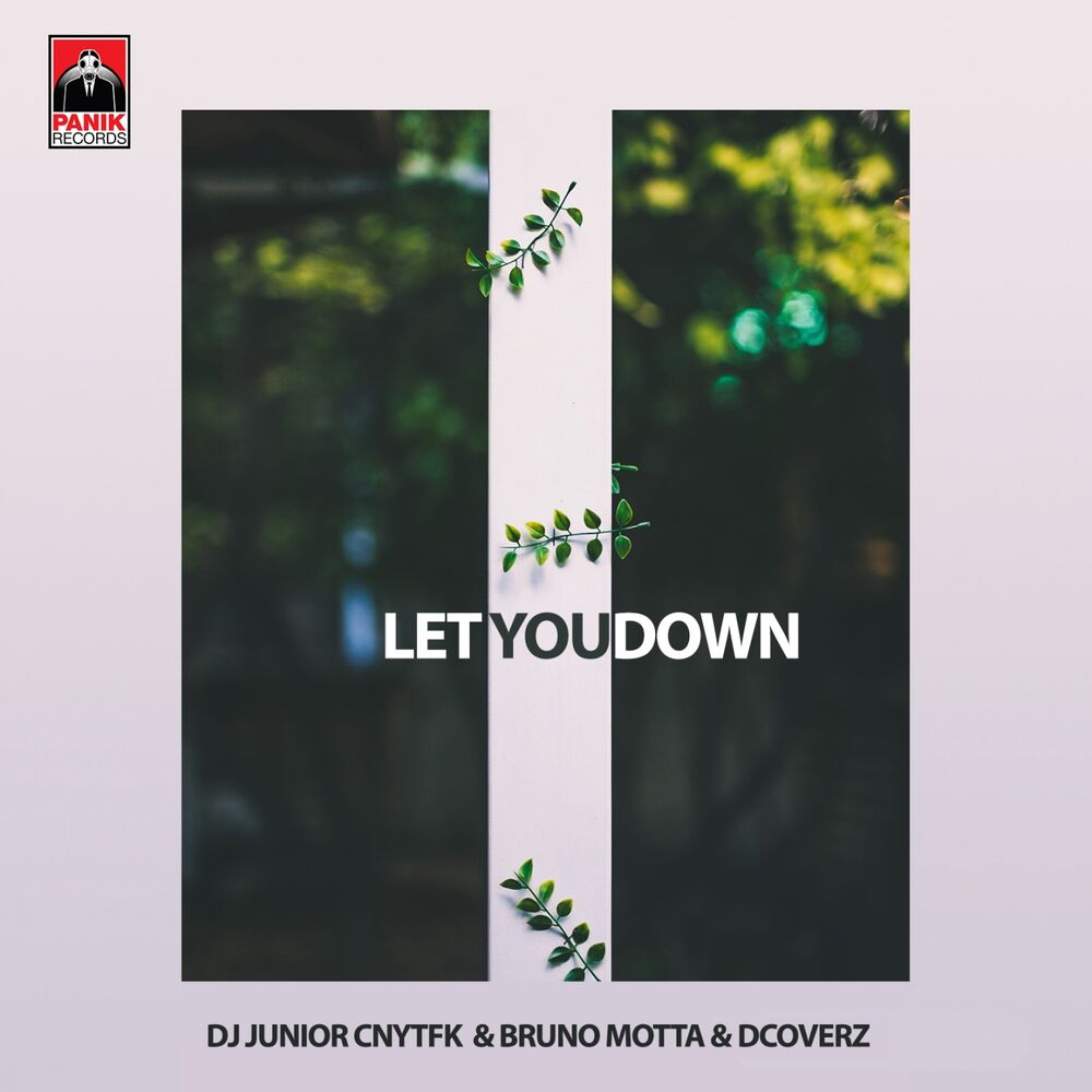 Picture of Let You Down