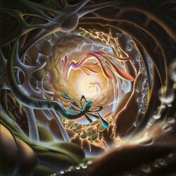 Cover of Worms on Acid
