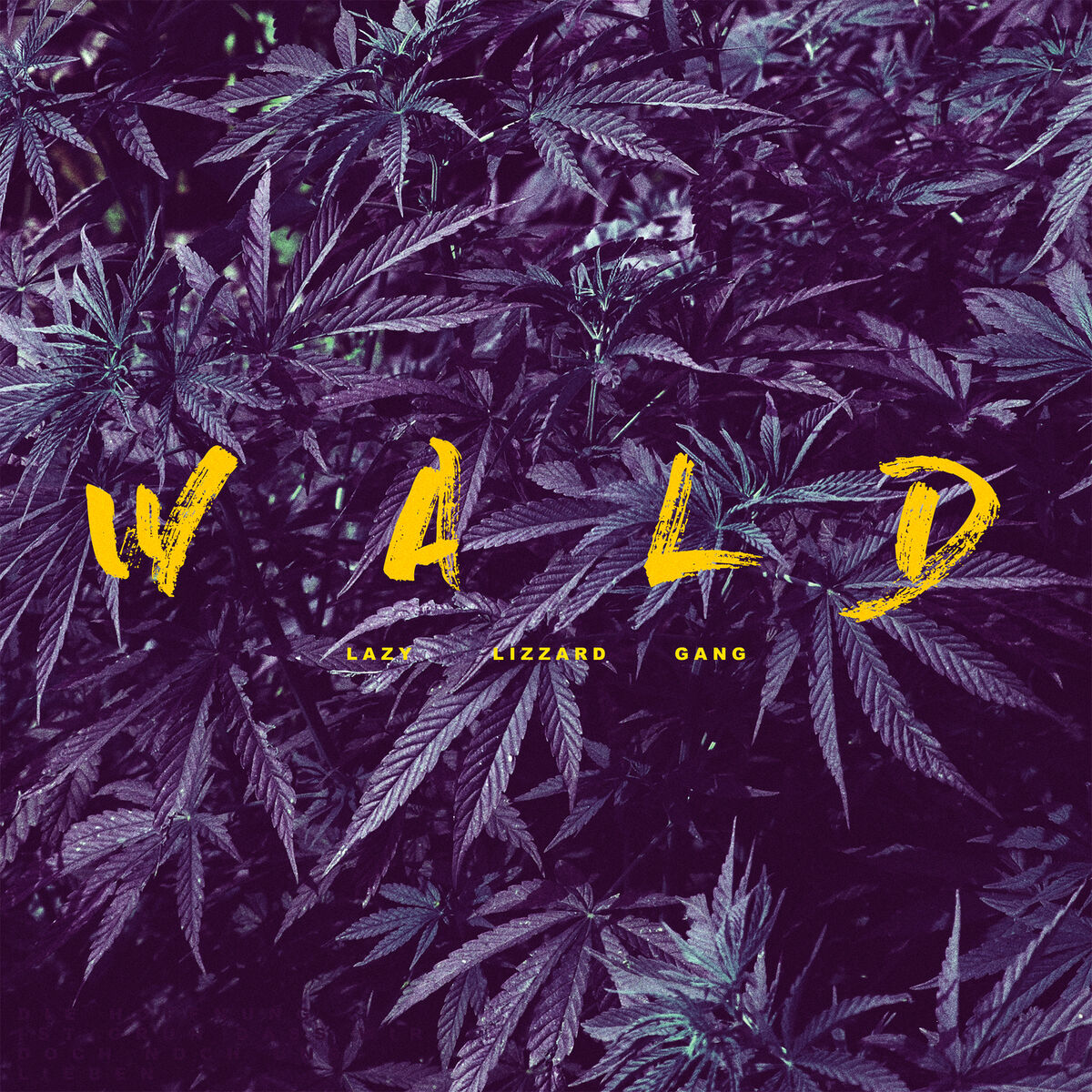 Album cover of Wald