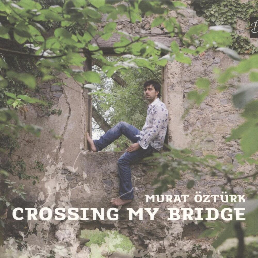 Picture of Crossing My Bridge