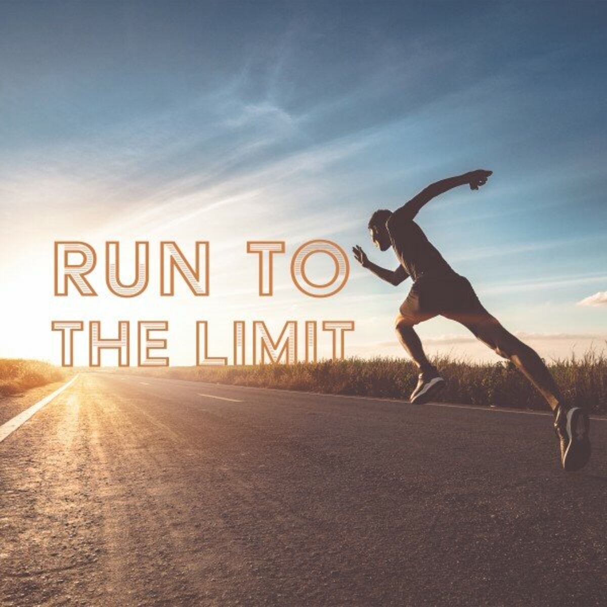 Album cover of Run to the Limit
