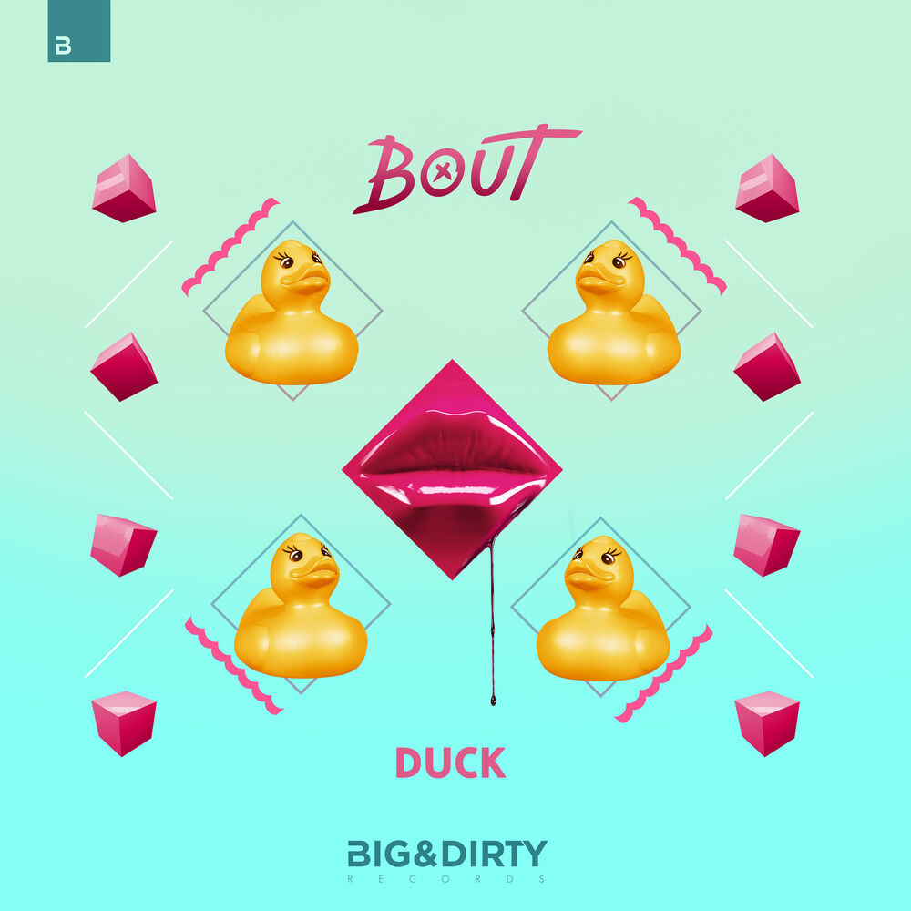 Picture of Duck