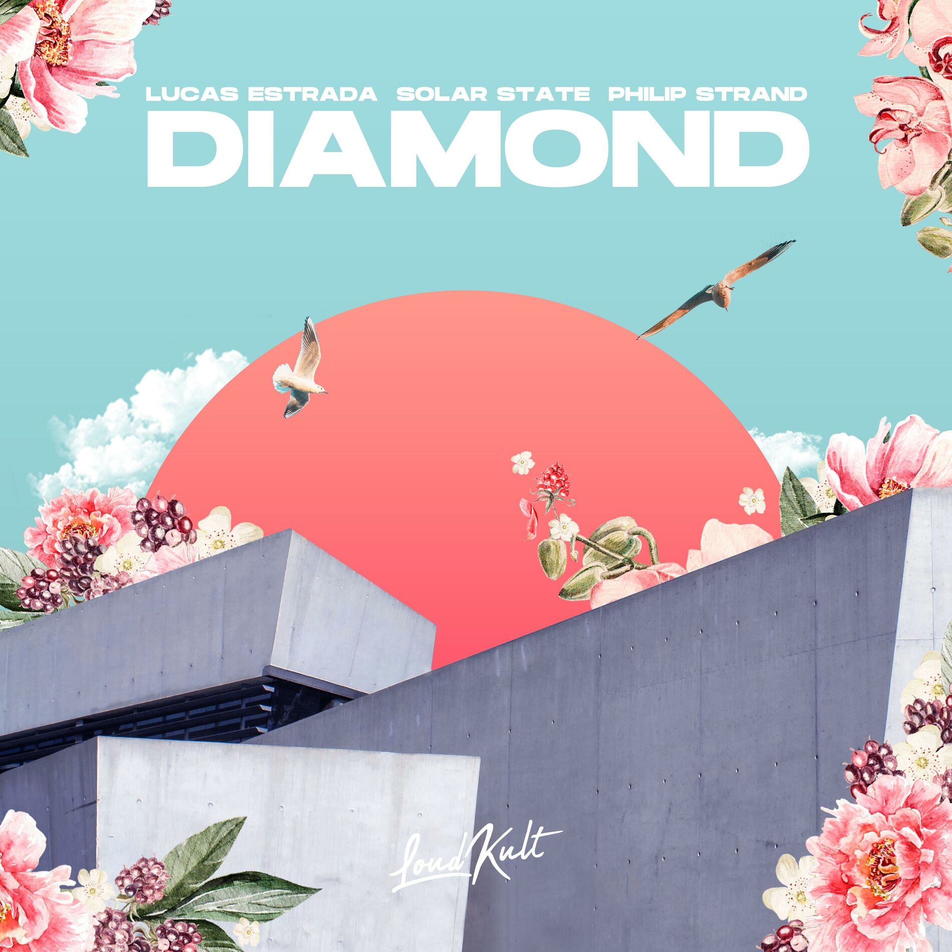 Album cover of Diamond