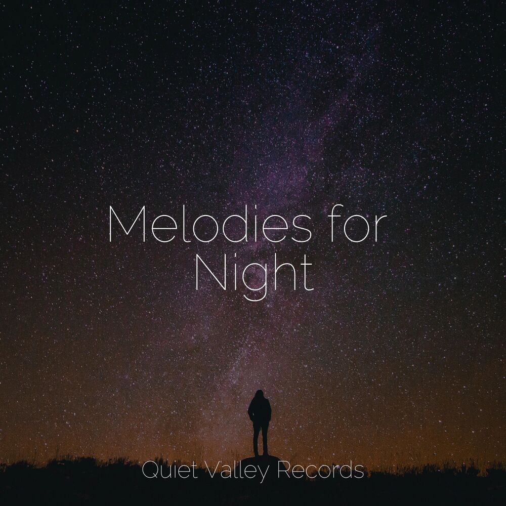 Picture of Melodies for Night For Dogs