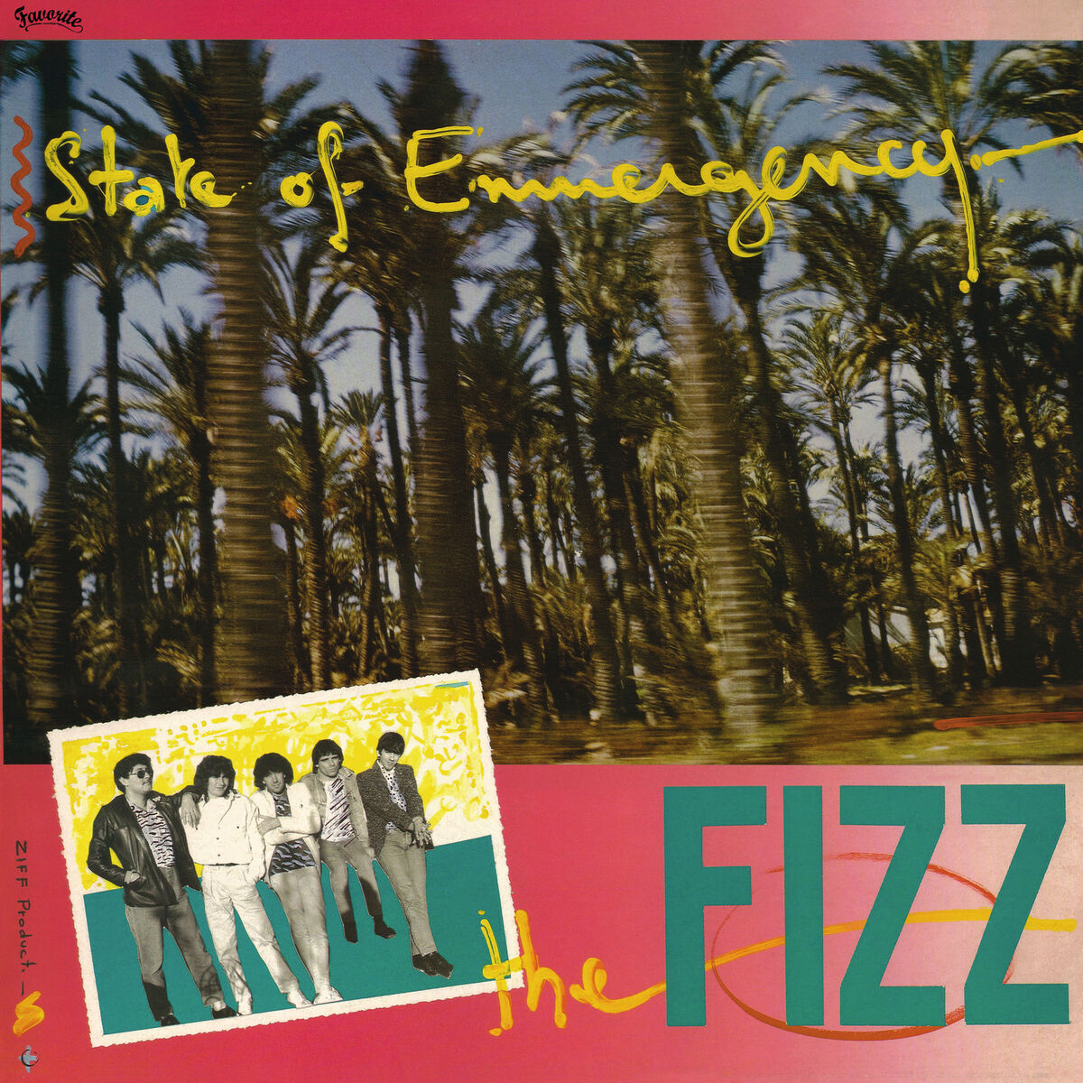 Album cover of State of Emmergency