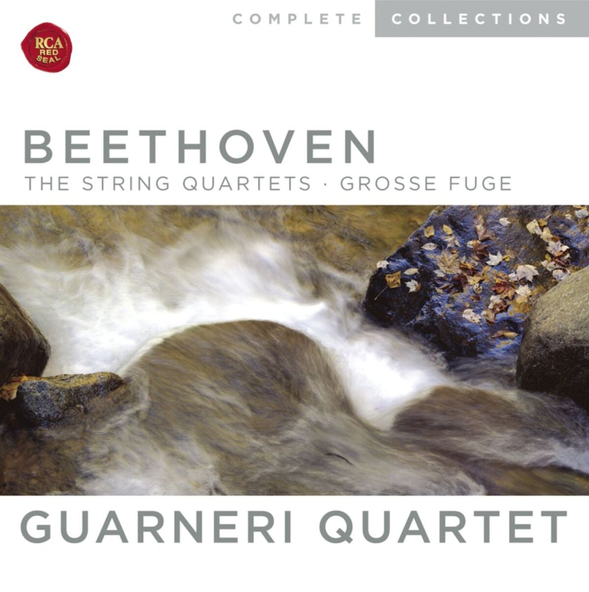 Album cover of String Quartet No. 15 in A Minor, Op. 132: III. Molto adagio
