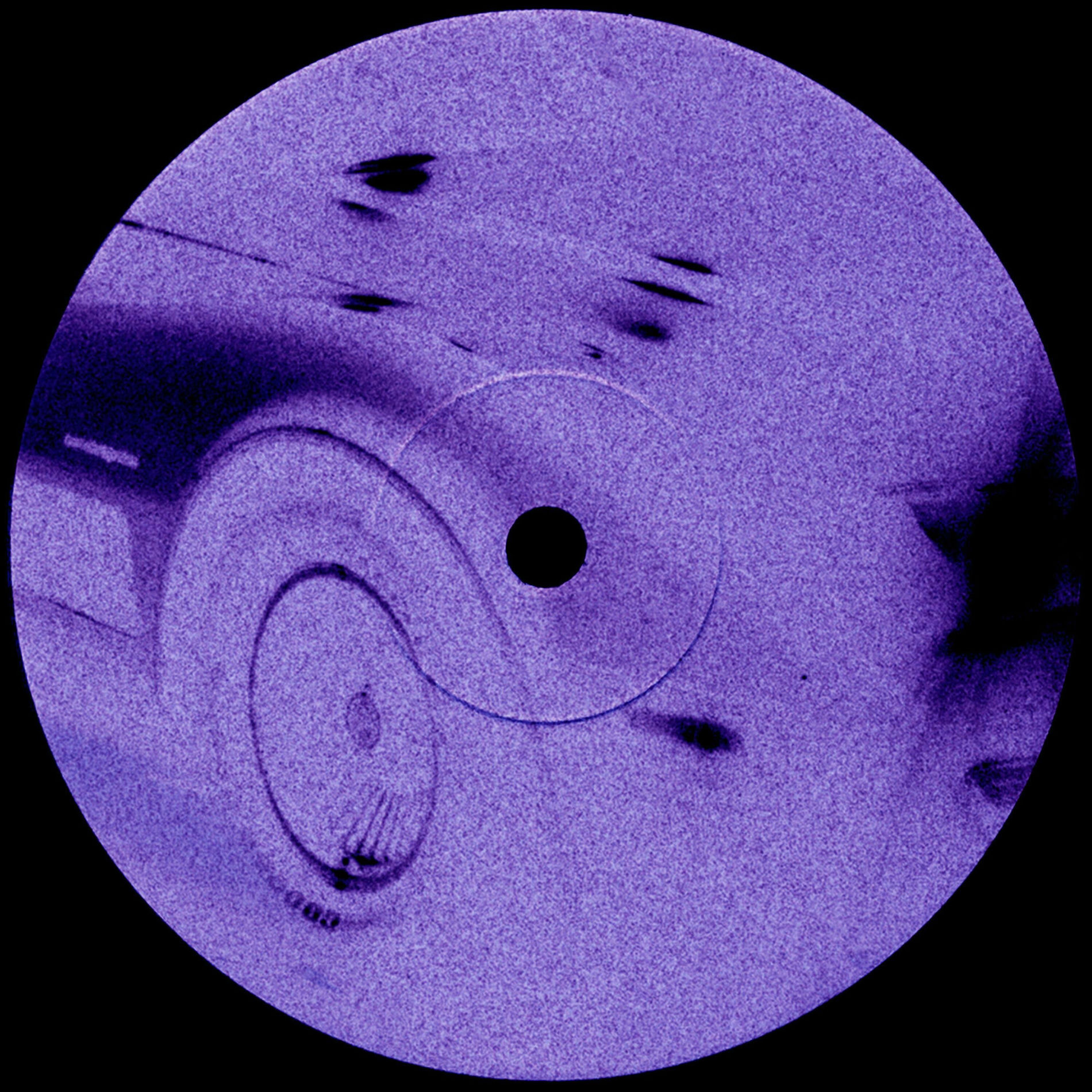 Album cover of The Color Violet