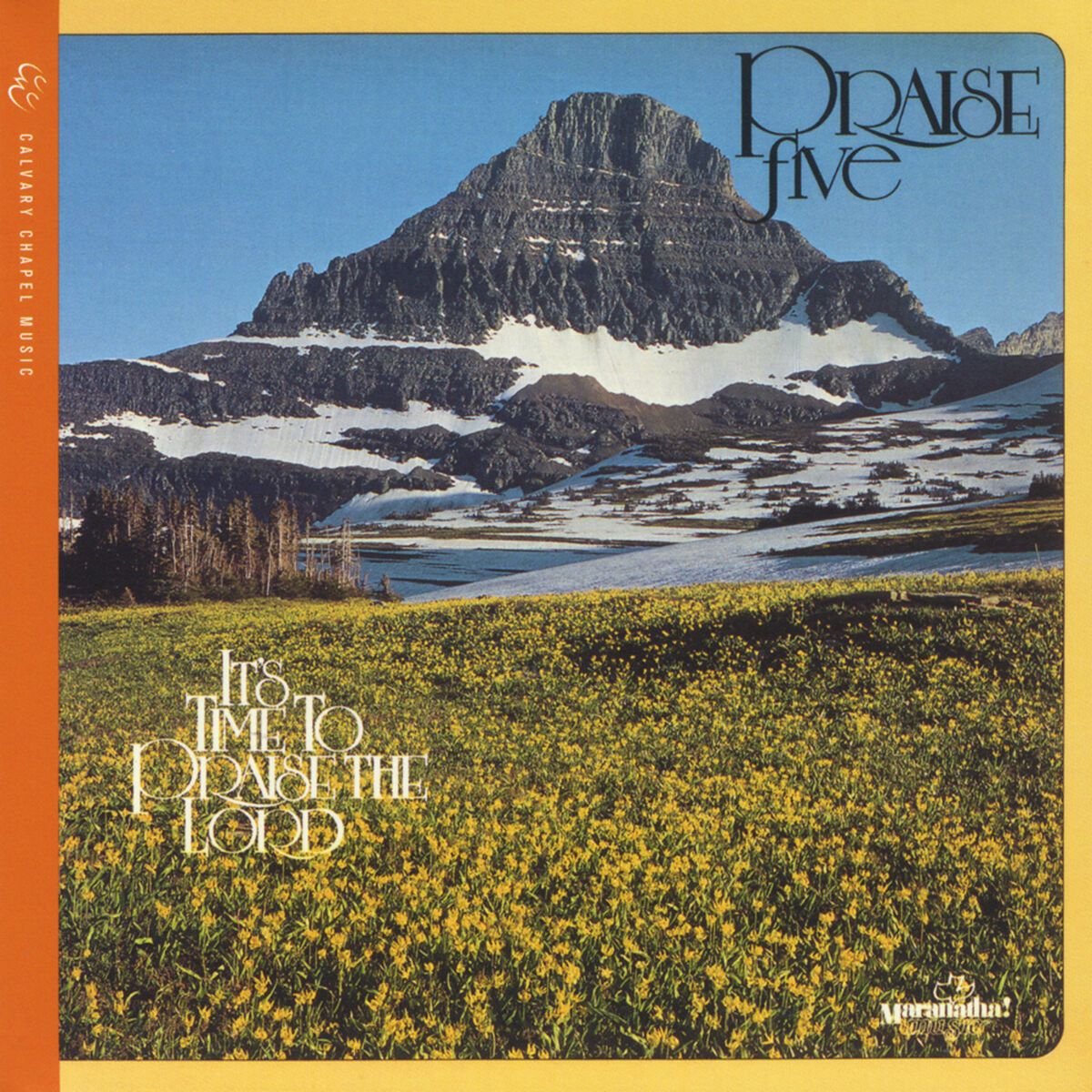 Album cover of Praise Song