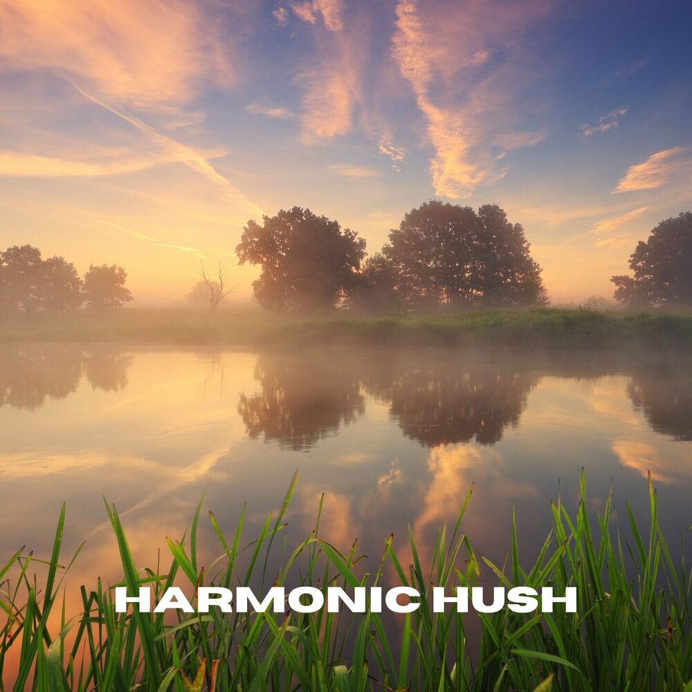 Picture of Harmonic Hush