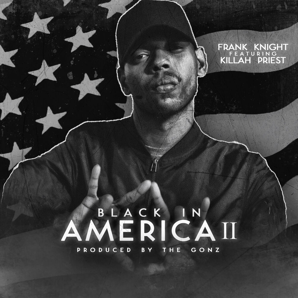 Picture of Black in America 2